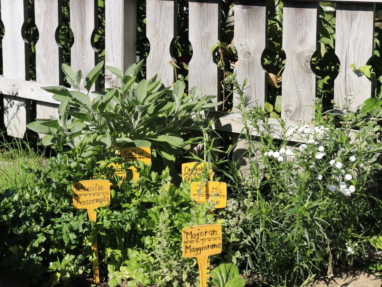 Pfeiferhof Garten Gew&uml;rze