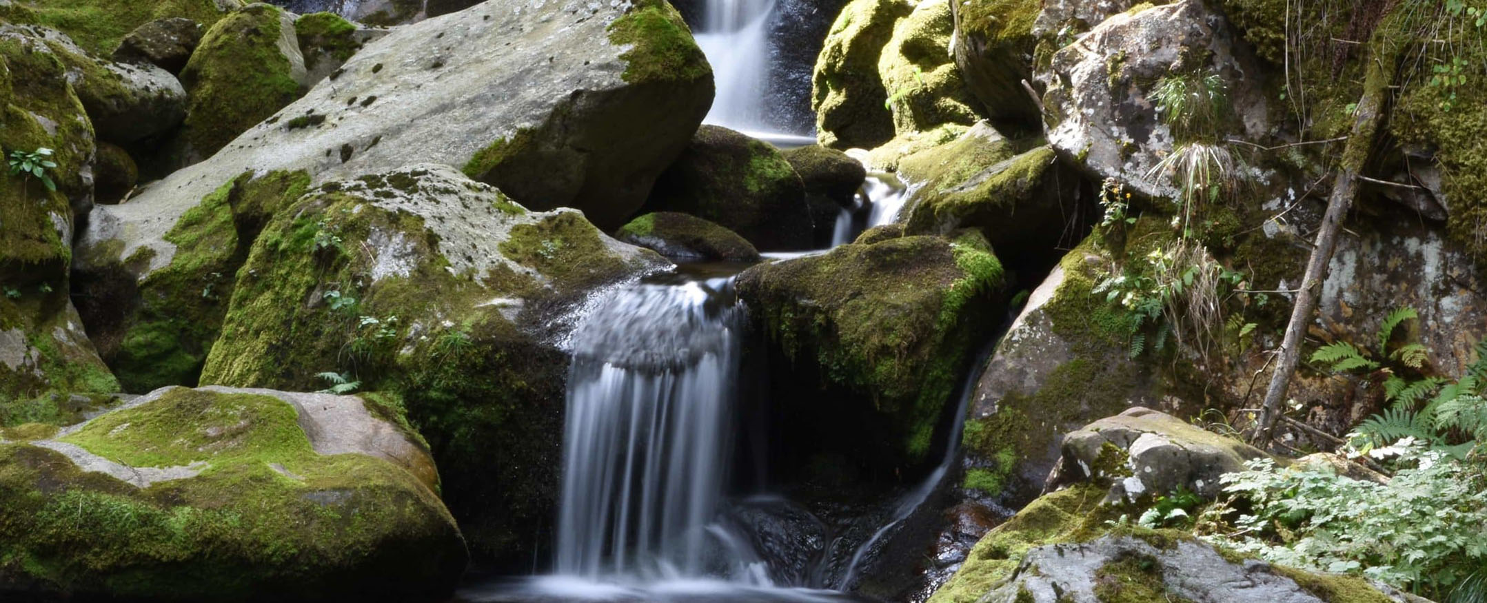 Pfeiferhof Haus und Hof